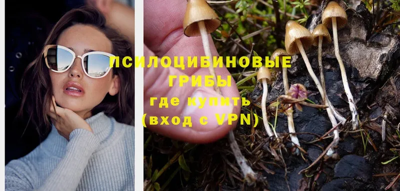 МЕГА ONION  Игарка  Галлюциногенные грибы Psilocybe 